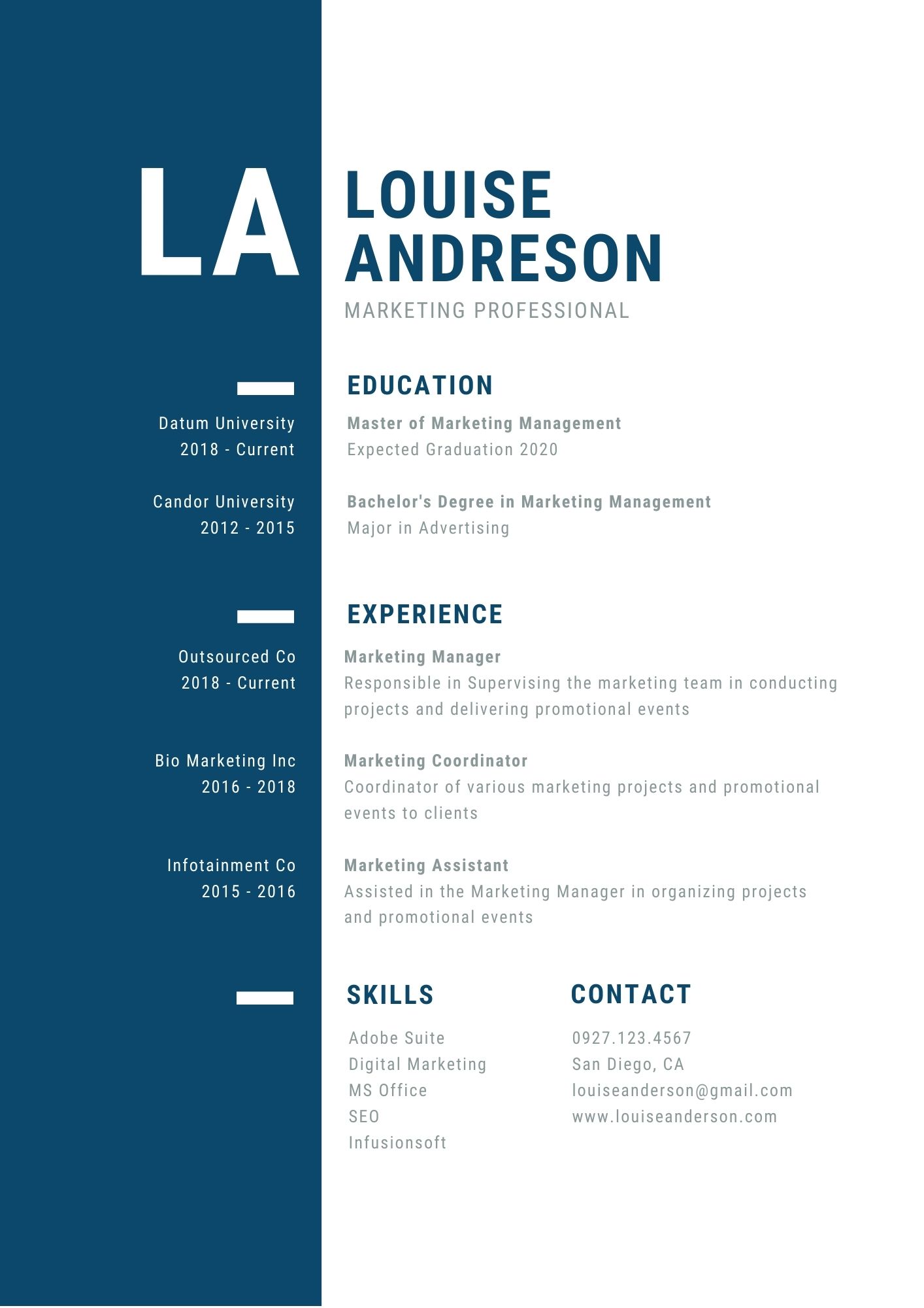 Contoh CV Profesional Bidang Marketing #4